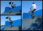 (15) ez7 bmx montage.jpg    (1000x730)    262 KB                              click to see enlarged picture